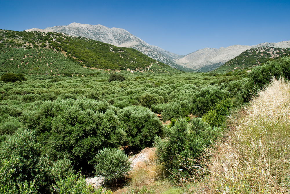 259_Kreta_Selena Oros.jpg